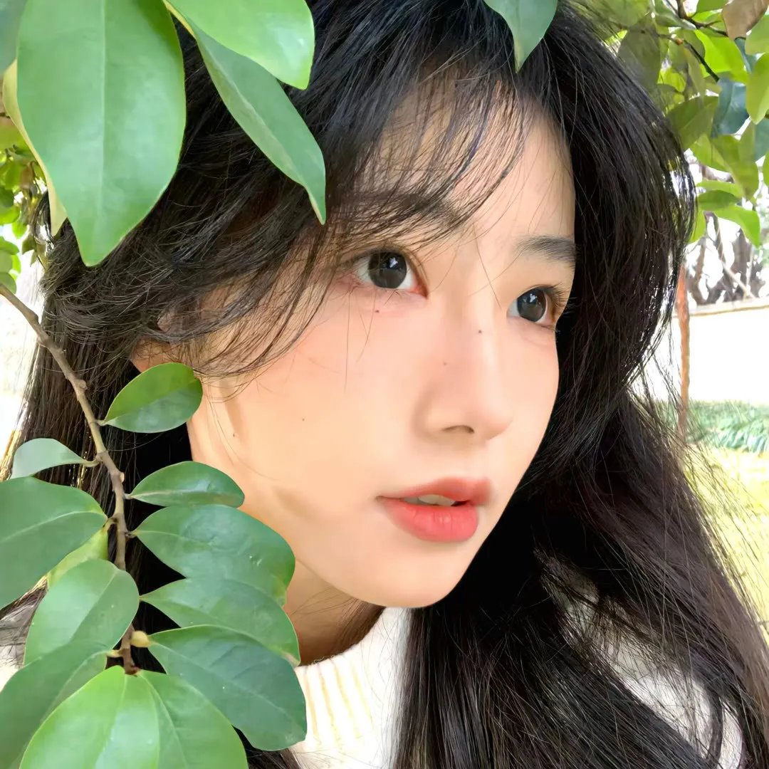 美国夜生活